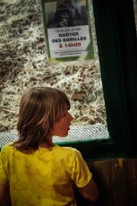 Mai-2019-St-Etienne-et-Clermont-Ferrand-45